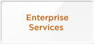 Enterprise Services